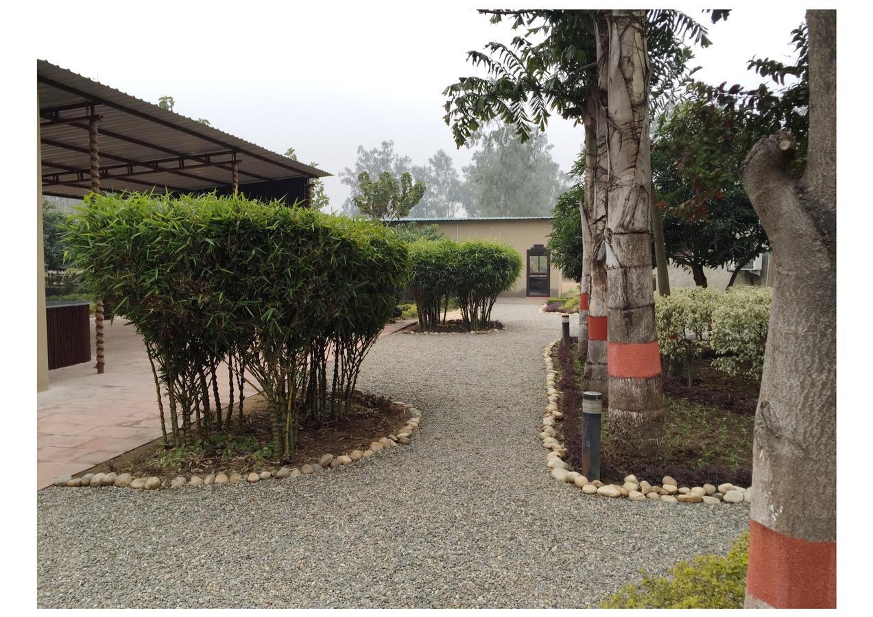 Dr. Sudha'S Ayurveda Hotel Muzaffarnagar Luaran gambar
